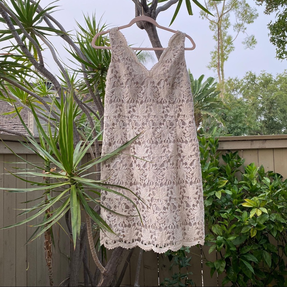 Ann Taylor dress